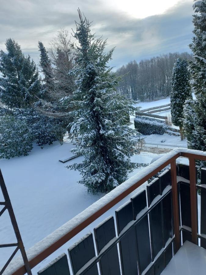 Ferienwohnung "High End" Höchenschwand Kültér fotó